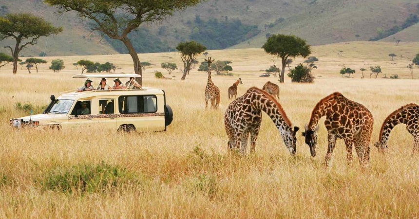 Tour Image